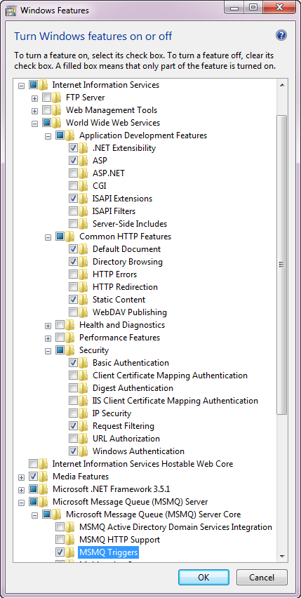 Configure IIS Directory in Windows.